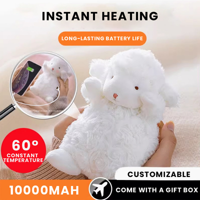Chauffe-mains portable avec caractéristiques de sécurité non inflammables, protection contre la surchauffe et conception réutilisable
