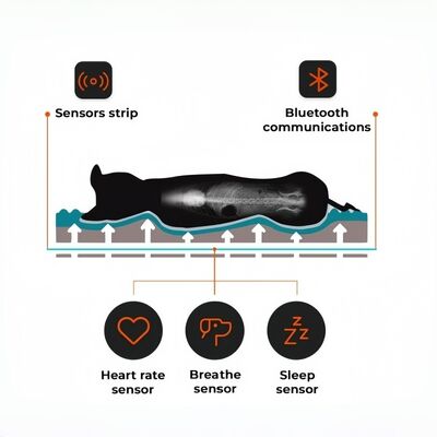 Un lit pour animaux de compagnie intelligent avec application basée sur le suivi en temps réel du rythme cardiaque, de la respiration et du sommeil, fournissant des informations sur la santé de qualité vétérinaire