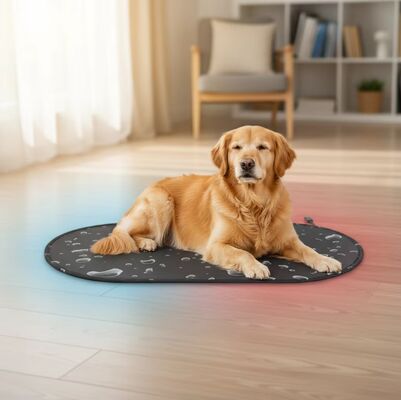 Lit électrique pour chien avec système de chauffage et de refroidissement PTC Protéger contre la surchauffe en toute saison