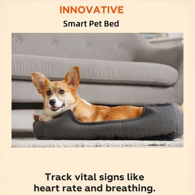 Smart Reptile Pet Lit Moniteur de santé Suivre le rythme cardiaque Rate respiratoire Dormir Pad WiFi Contrôle extérieur et utilisation de voiture Pet Mat