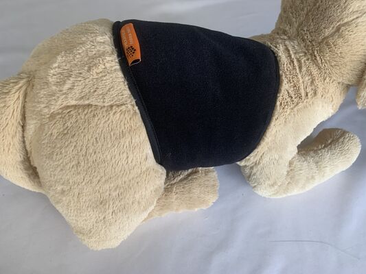 Ceinture pour animaux de compagnie