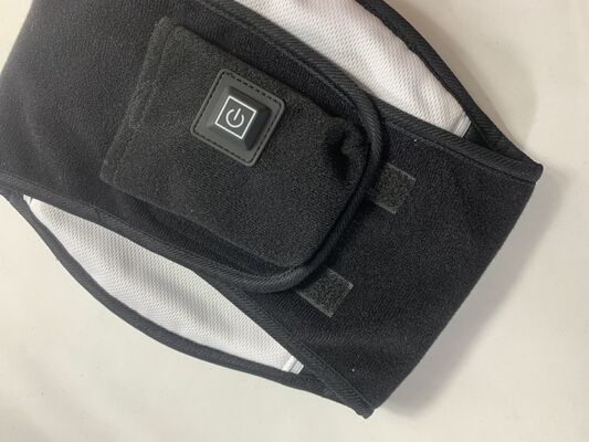 Ceinture pour animaux de compagnie