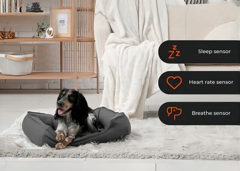 Lit intelligent pour chien avec surveillance de la santé, suivi de l'application pour le sommeil/le cœur/la respiration pour chiot chien âgé tranquillité d'esprit