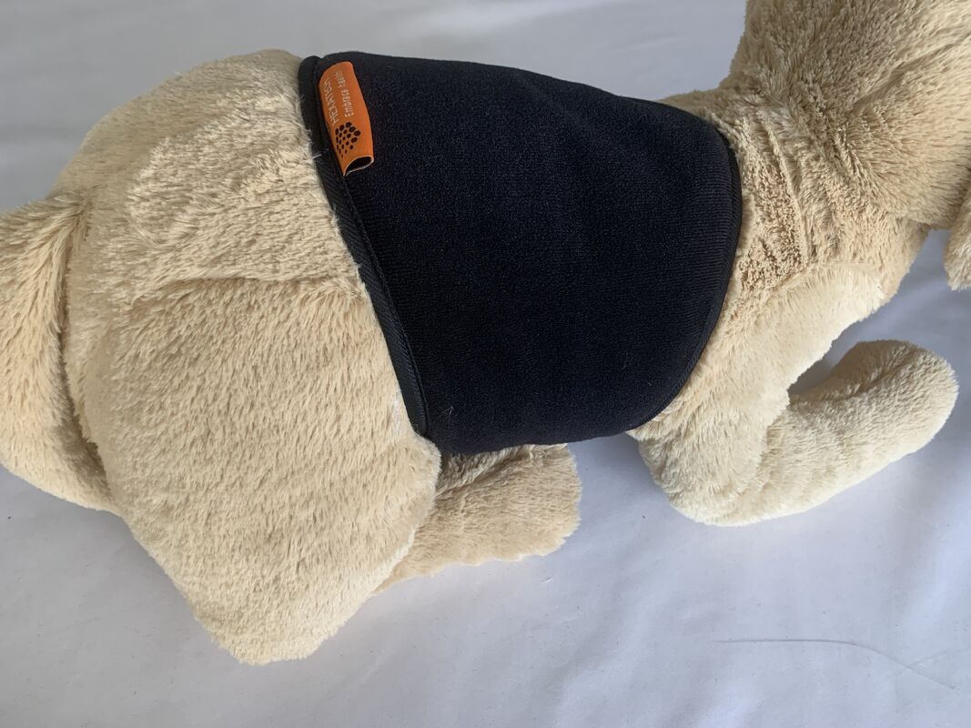 Ceinture pour animaux de compagnie