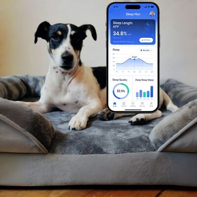 Lit intelligent pour chien avec surveillance de la santé, suivi de l'application pour le sommeil/le cœur/la respiration pour chiot chien âgé tranquillité d'esprit