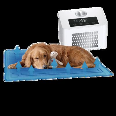 Tapis de refroidissement électrique pour chien et chat, système de refroidissement par chauffage PTC, matériau PVC écologique, Protection contre la surchauffe, utilisation toutes saisons, 60x45cm